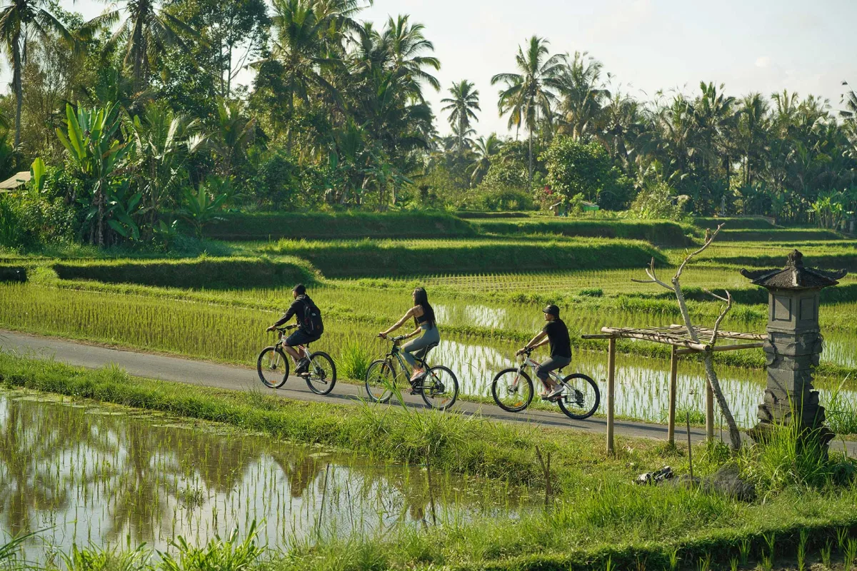 Sunrise Cycling & Foot Massage in Payangan | Nandini Jungle Bali