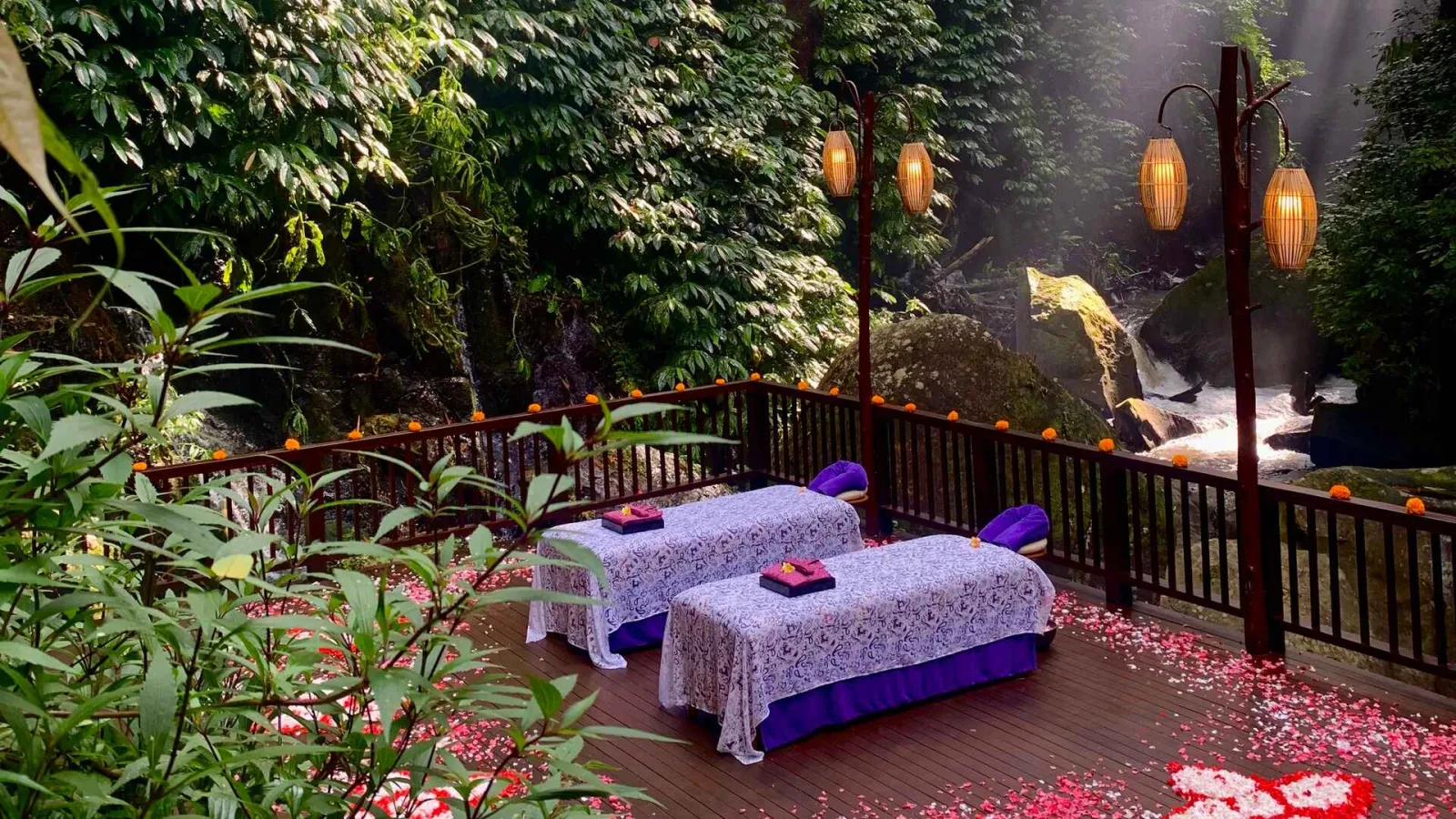 A Mystical Journey at Nandini - 4D3N Wellness Retreat